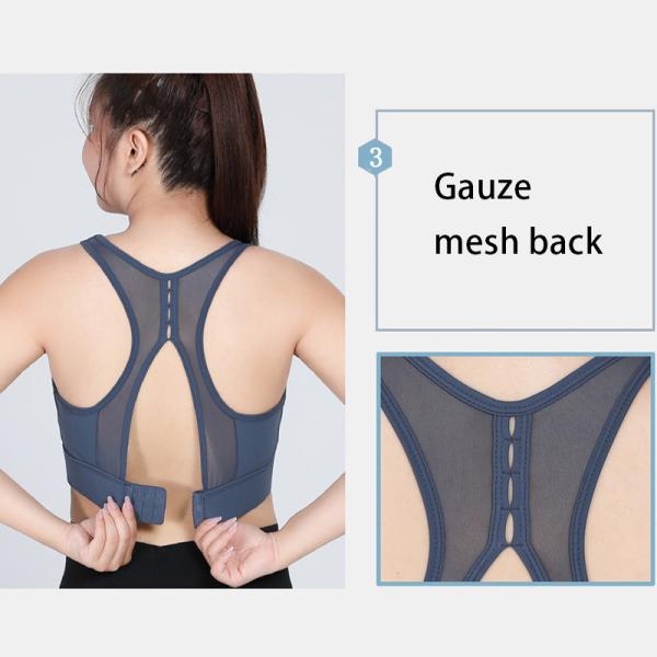 Sexy Mesh Plus Size Sports Bra Gathered Nylon Spandex 3 Colors