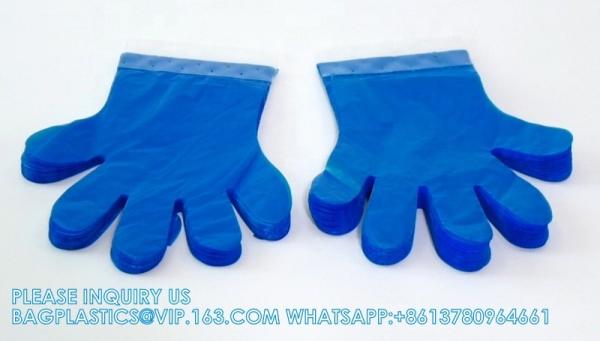 Custom Packaged Food Grade Premium Disposable Blue Poly Disposable Gloves With Hang Tabs Food Prep Plastic Glove