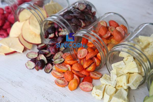 2Kg 3Kg 4Kg Low Noise Mini Freeze Dryer For Food Meat Herb Tea Leaf