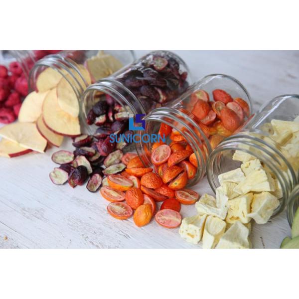 Квадрат сушильщика замораживания 0,4 еды охлаждаемой ловушки измеряет 1.75Kw для дома