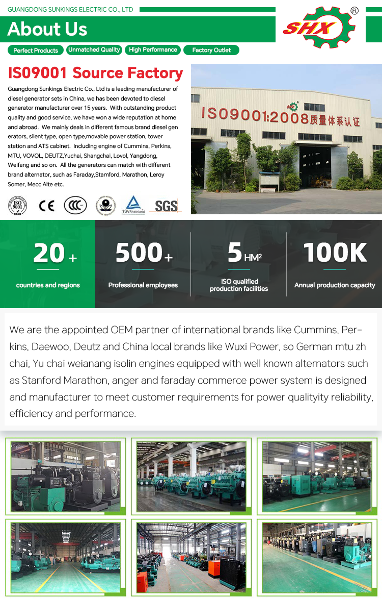 Custom 500kw 800kw 1000kw Methane LNG LPG Natural Gas Powered Generators Set with Water Cooled Backup Generation