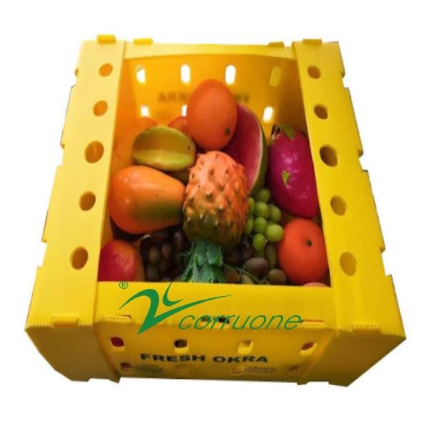 Corruone waterproof Fruit Vegetable Packing PP Cartonplast Grapes Packing Boxes Plastic Broccoli Boxes Corrugated Ginger box