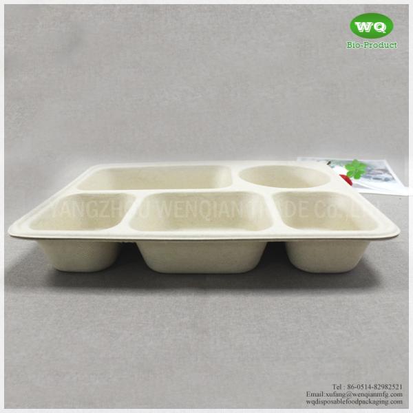 5 Compartments Unbleached Bagasse Tray-China Factory Offer Eco-friendly Fast Food Box Container Tray for Hot Foods