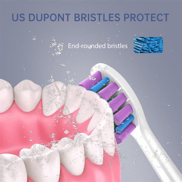 Wholesale Factory Sonic Electric Toothbrush SN903 Smart Toothbrushes for Adult