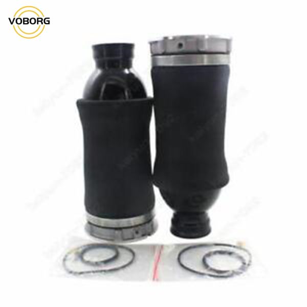 Hot Sell Rear Air Suspension Shock Absorber Reart Left and Right Shock Absorbers for Audi Auto Parts