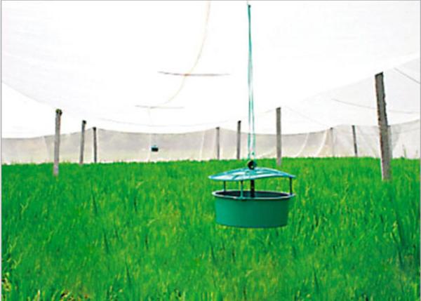 Eco-friendly Biodegradable Landscape Fabric Nonwoven for Agriculture