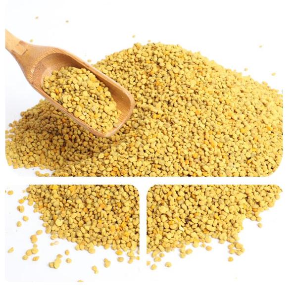 Новый большой цветень пчелы рапса цены по прейскуранту завода-изготовителя продуктов пчелы Granual органический