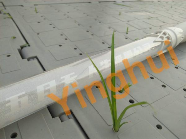Interlocking Plastic Floor Tiles Temporary Outdoor Flooring Over Grass for Events