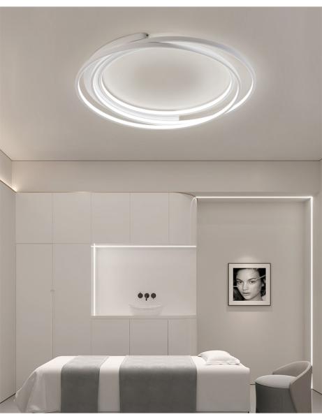 Modern Creative Wrought Iron Ceiling Lights Atmosphere Living Room ring Ceiling Lights(WH-MA-249)