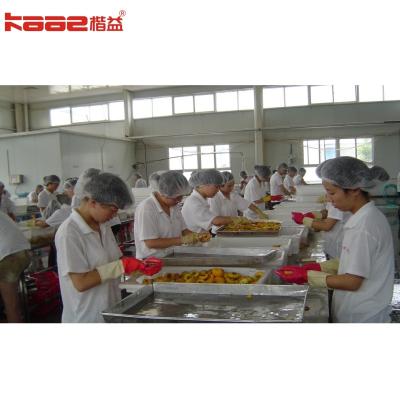 Canned Fruit Peaches And Pineapples Fruit Canned Food Production Line