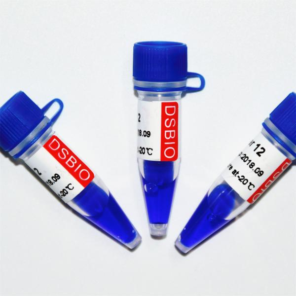 Escada M1141 do ADN do marcador 12 (50μg) /M1142 (5×50μg)