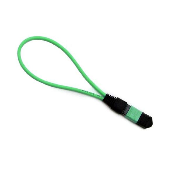 Module/câble de bouclage à fibre optique monomode MTP 24 fibres
