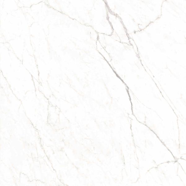 Captivating Modern 800x800mm Stone Imitation Porcelain Tiles For Upscale Living Spaces