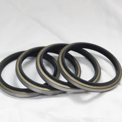 Chinese Oil Seal Manufacturers EU Dkb GA Dli Dust Seal for Advanced Performance