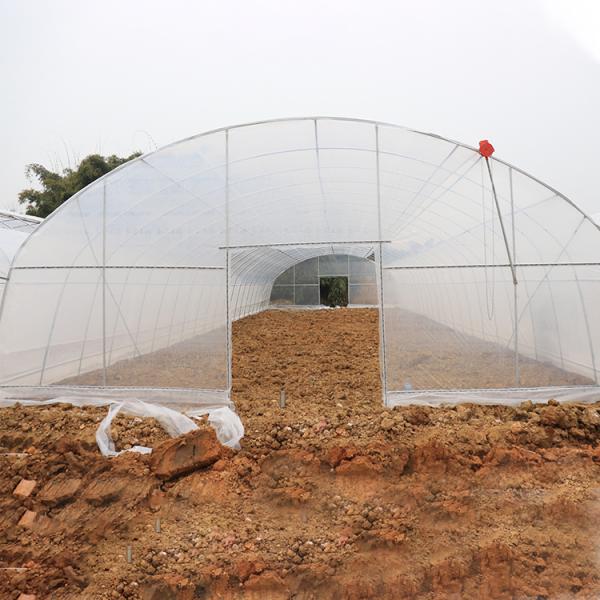 Anti Aging Film Micron Anti Uv Plastic Greenhouse Agriculture Vegetables Planting