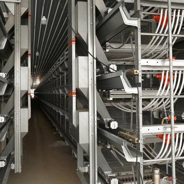 Горячие гальванизированные птицы клетки 10 слоя батареи куриц/клетка лучшее FCR