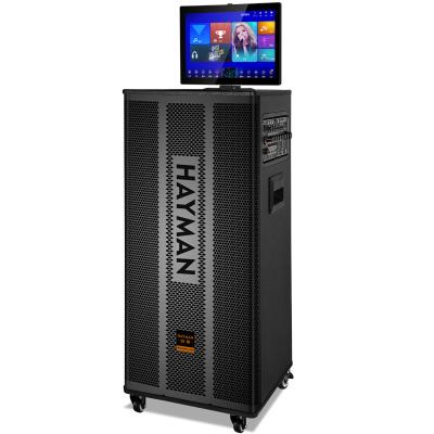 AC Powered Karaoke Video Machine Bluetooth USB AUX HDMI LED Display Speaker