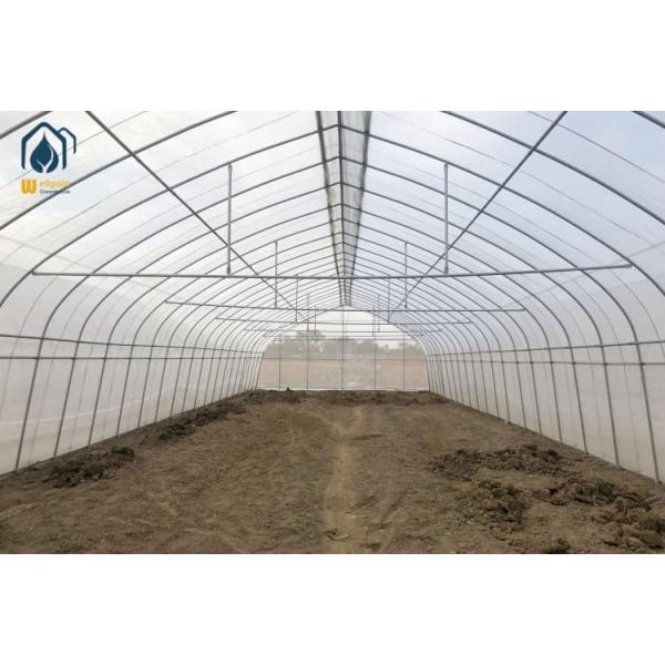 Galvanized Steel Tunnel Greenhouse Single Span PE Cover Greenhouse For Agriculture