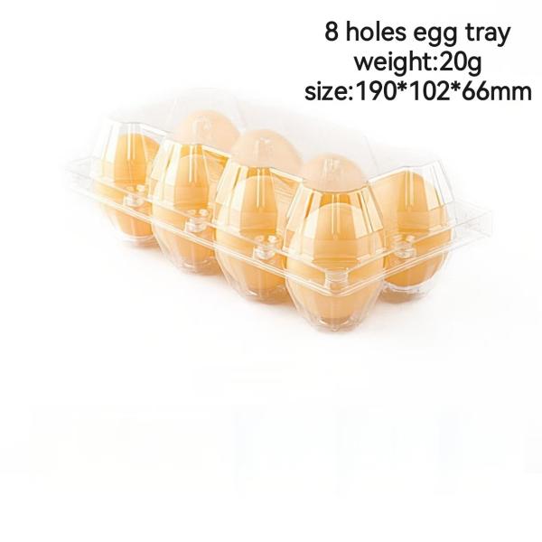 8 Holes Thickened Disposable Plastic Egg Tray PET Transparent With Hinged Design
