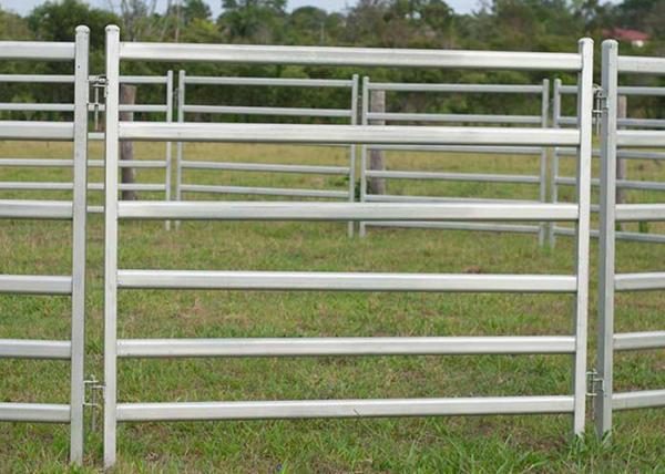 Galvanized Steel Cattle Yard Panels Anti - Oxidizing Property Excellent Pressure Resistance