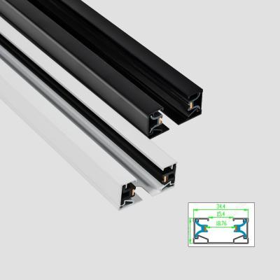 AC110-248V 2 Wire Flat Copper Spotlight Rail System Black White Color
