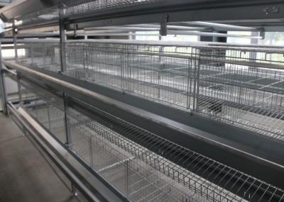 160 Birds Layer Chicken Cage Automatic Controlling System Q235 Steel Wire Material