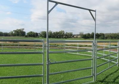 Steel Square Tube Heavy Duty Cattle Panel American Style