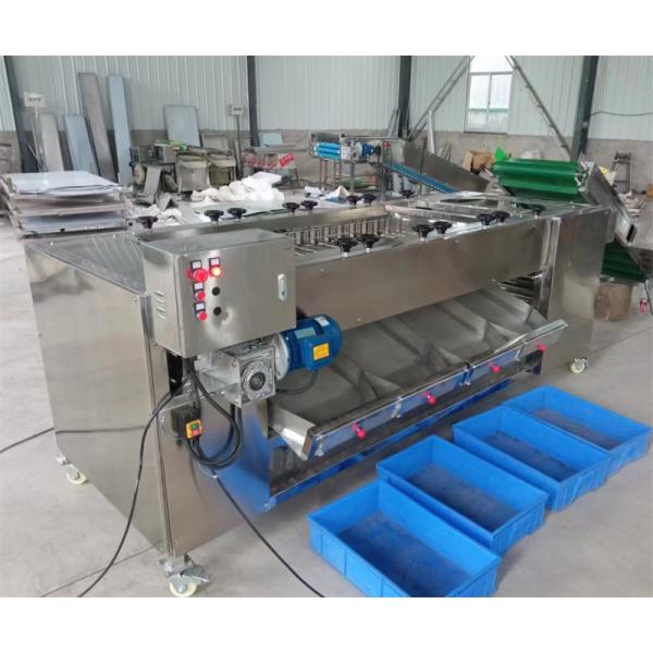 cheapest potato sorting machine, potato grading machine, potato sorter grader