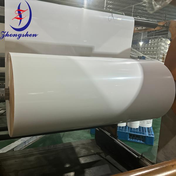 Customization Poultry PP/PE Manure Removal Belts from Zhongshen
