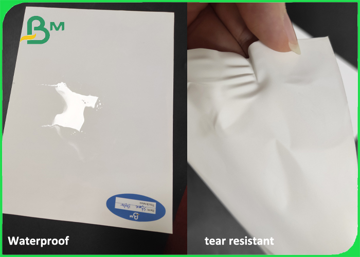 каменная бумага Recyclable фото - Degradable каменная бумага 100 - материал рекламы 400um