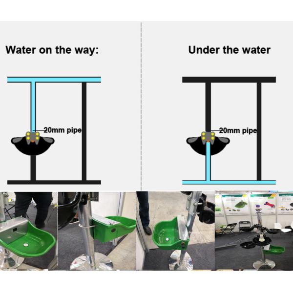 for Horse, Cow, Sheeep Tj-180 Cast Iron Water Bowls Coated Powder Surface Treatment Water Bowl Trough PVC Float
