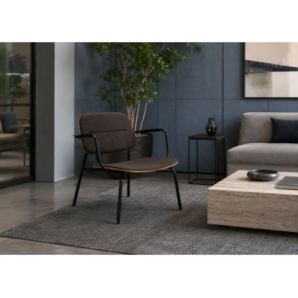 Stylish Bentwood Lounge Chair Corrosion Resistance For Coffee Shop And Bistros