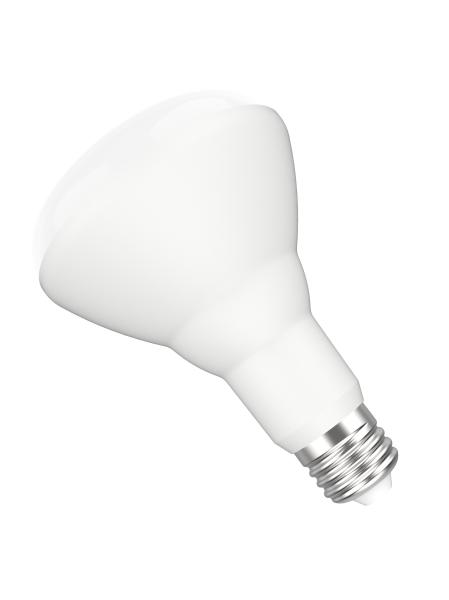 App / Voice Control E26 Base Indoor 11W Ra80 Br30 Smart Bulb