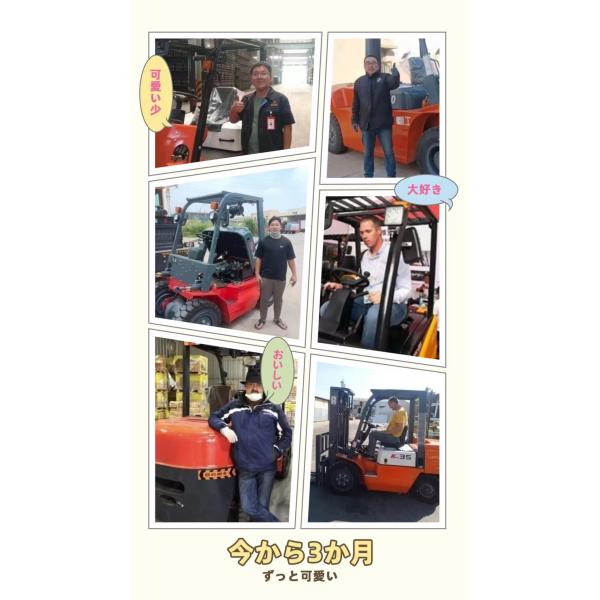 3 Ton Diesel Forklift with Japan Engine 5 Ton Capacity 3 Stages Side Shift Second Hand