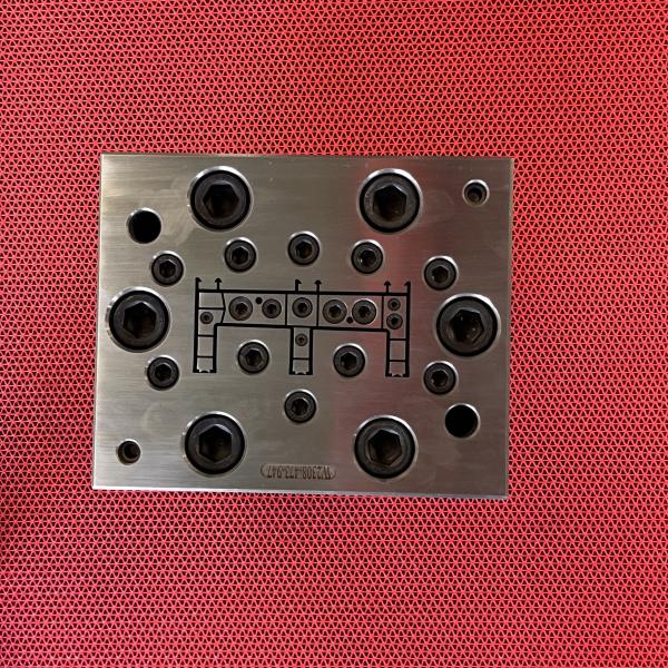 Customized AutoCAD Designed PVC Extrusion Die Mould Tooling for Guaranteed Performanc