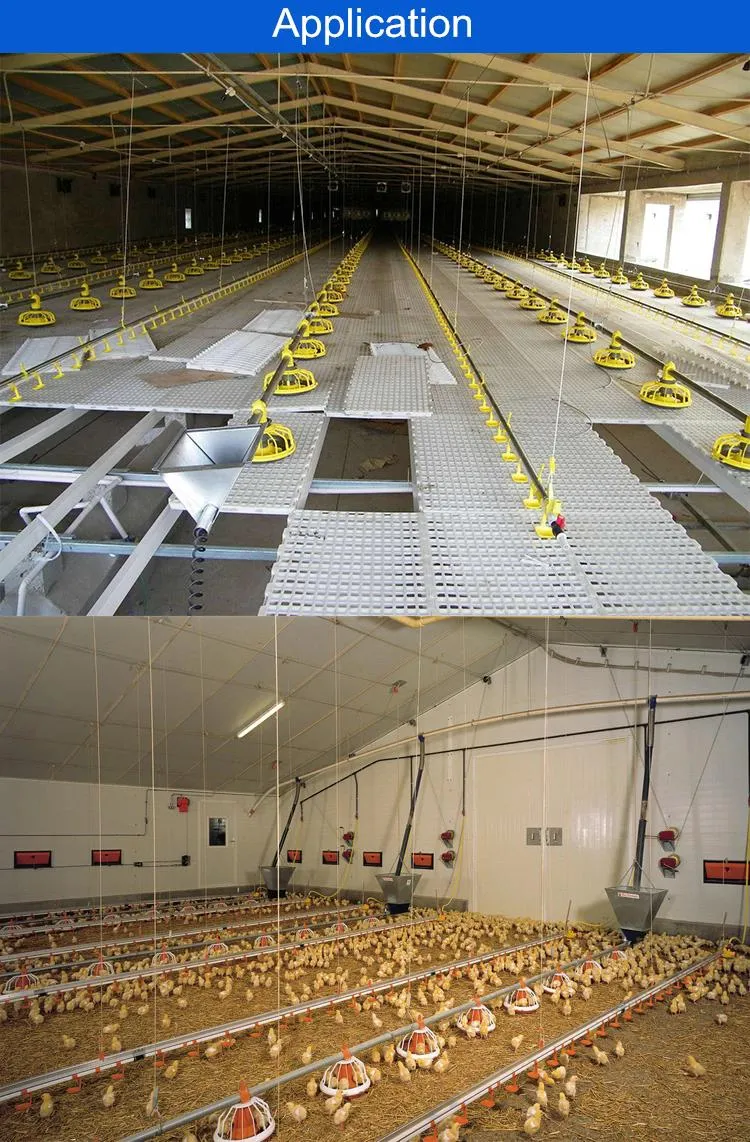 Quick Cleaning Automatic Pan Feeding System For Broiler Poultry Farms