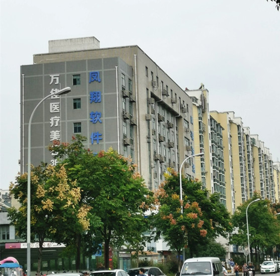 Adaptador cambiable montado superficie compacta impermeable de las luces de calle de los microprocesadores LED del Cree