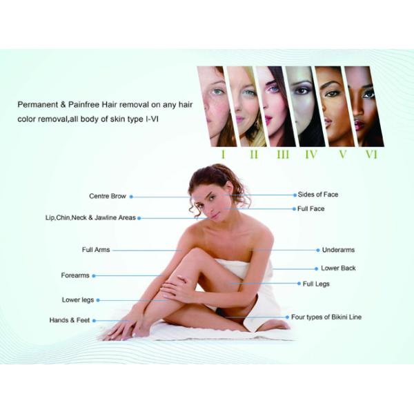 Painfree Laser Hair Removal Device For SPA Clinics 1064nm Triple Wavelength
