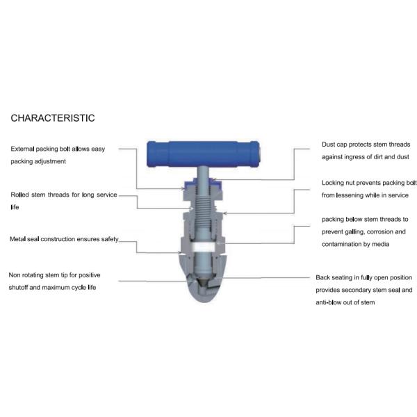 High-Precision Needle Valves – Save 15% on Bulk Orders! Contact for OEM Deals