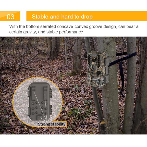 4k Ip65 Waterproof Night Vision Wildlife Camera 30fps Outdoor 60M 38PC IR LED