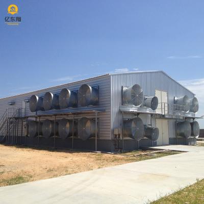 Granja avícola con estructura de acero Q235 Q345 S355 Techo galvanizado
