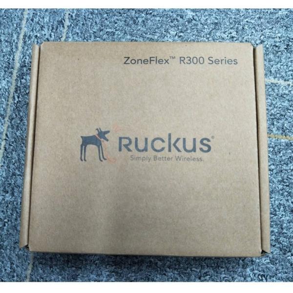 901-R300-WW02 Ruckus Indoor Access Point Dual Band 80211n For Small Businesses