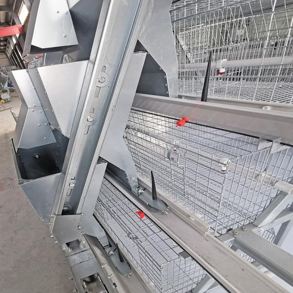 Aves domésticas Chick Rearing Cage, bateria gaiola da galinha de 4/3 séries