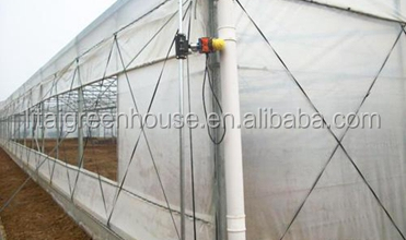 Настраиваемый размер покрытый пленкой птицефабрика теплица длина 30-100 м с пленкой