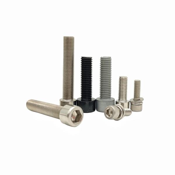 Screws en acier inoxydable 316L sur mesure Screws adhésifs à prise hexagonale Screws résistants aux chutes Boulons