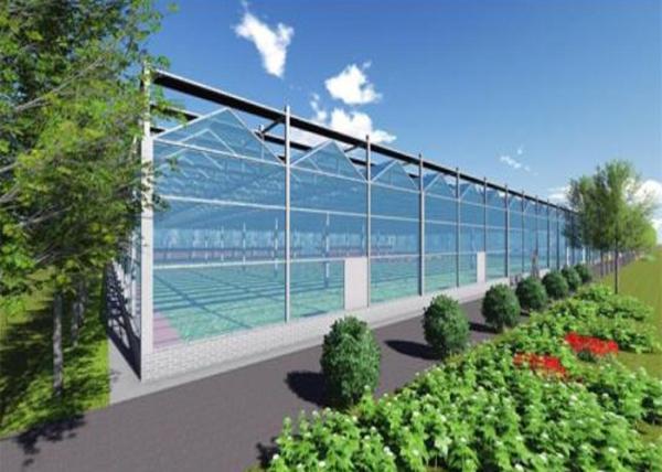 Single Layer Glass Venlo Type Greenhouse Equipped With Hydroponic Technology