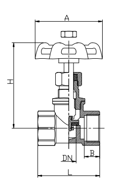 Женщина женщины x гайки нержавеющей стали 2