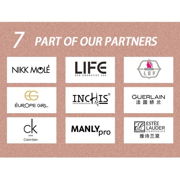 189A0428 Fabricant 28PCS Cheveux d'animaux Tubes de cuivre Poignée en bois Logo personnalisé