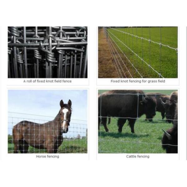Security Sheep / Cattle Wire Fence Rust Resistance Customized Size