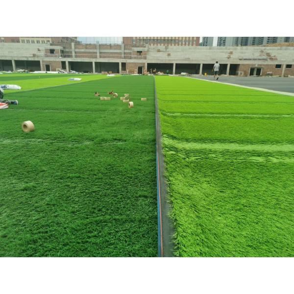 Técnica de tejido avanzada Ceno de hierba sintética con hilo resistente a enfermedades